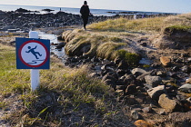 Iceland, Snaefellsnes Peninsula National Park, Ytri Tunga seal beach with sightseeing tourists. Sign warning of slippery surface