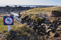 Iceland, Snaefellsnes Peninsula National Park, Ytri Tunga seal beach with sightseeing tourists. Sign warning of slippery surface