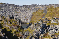 Iceland, Snaefellsnes Peninsula National Park, volcanic crater covered in moss.