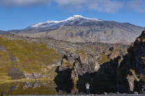 Iceland, Snaefellsnes Peninsula National Park, Snaefellsjokull, a 700,000-year-old glacier-capped stratovolcano with moss covered lava field in the foreground.