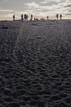 Iceland, Snaefellsnes Peninsula National Park, Djupalonssandur black sand beach. Sightseeing tourists silhouetted on the skyline.