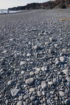 Iceland, Snaefellsnes Peninsula National Park, Djupalonssandur black sand beach.