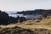 Iceland, Snaefellsnes Peninsula National Park, Djupalonssandur black sand beach.