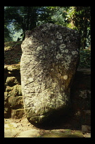 Colombia, Kogi, Detail of Map Stone in the jungle.