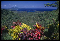 Pacific Islands, Fiji, Taveuni Island,  View to sea over flora and fauna .