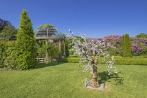 Ireland, County Kerry, Tralee,  Ballyseede Castle Hotel Gardens near the town, pergola with chandelier.