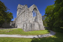 Ireland, County Kerry, Killarney, Muckross Abbey, founded in 1448 as a Franciscan friary for the Observantine Franciscans by Donal McCarthy Mor.