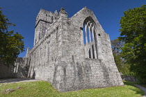 Ireland, County Kerry, Killarney, Muckross Abbey, founded in 1448 as a Franciscan friary for the Observantine Franciscans by Donal McCarthy Mor.