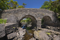 Ireland, County Kerry, Killarney, Old Weir Bridge at the Meeting of the Waters where Killarney's 3 lakes meet.