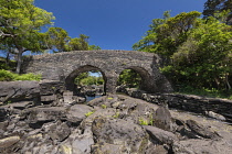 Ireland, County Kerry, Killarney, Old Weir Bridge at the Meeting of the Waters where Killarney's 3 lakes meet.