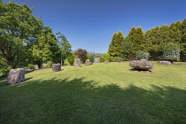 Ireland, County Kerry, Iveragh Peninsula, Ring of Kerry, Kenmare, Kenmare Stone Circle and hawthorn fairy trees with wishes left by visitors on notepaper.