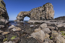 Republic of Ireland, County Donegal, Fanad Peninsula, Great Pollet Arch which is the largest sea arch on the island of Ireland standing at a towering 150 feet.