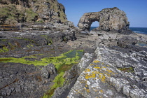 Republic of Ireland, County Donegal, Fanad Peninsula, Great Pollet Arch which is the largest sea arch on the island of Ireland standing at a towering 150 feet.