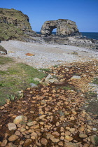 Republic of Ireland, County Donegal, Fanad Peninsula, Great Pollet Arch which is the largest sea arch on the island of Ireland standing at a towering 150 feet.