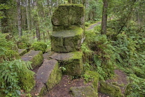 Northern Ireland, County Tyrone, Augher, Altadaven Glen, St Patrick's Chair.