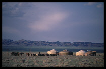 Mongolia, South Gobi, Omnogov, Ger  Yurt settlement & horses & sheep.