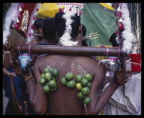 Singapore, Thaipusam Festival, Devotee with pierced body carrying milk cans .