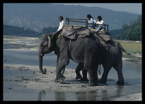 Nepal, General, Elephant transport.