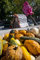Canada, Quebec Province, Quebec City, Vieux Quebec, Old Quebec City. One of the inflatable Mr Pink, or Monsieur Rose S'Envole, sculptures with Halloween pumpkins in Basse-Ville or Lower Town