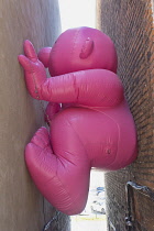 Canada, Quebec Province, Quebec City, Vieux Quebec, Old Quebec City. One of the inflatable Mr Pink, or Monsieur Rose S'Envole, sculptures wedged between buildings in Basse-Ville or Lower Town