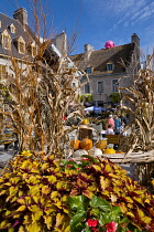 Canada, Quebec Province, Quebec City, Old Quebec City, Vieux Quebec. Place Royale in Basse-Ville, or Lower Town lined with shops and restaurants decorated with pumpkins and autumn foliage for Hallowee...