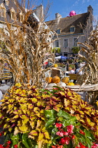 Canada, Quebec Province, Quebec City, Old Quebec City, Vieux Quebec. Place Royale in Basse-Ville, or Lower Town lined with shops and restaurants decorated with pumpkins and autumn foliage for Hallowee...