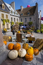 Canada, Quebec Province, Quebec City, Old Quebec City, Vieux Quebec. Place Royale in Basse-Ville, or Lower Town lined with shops and restaurants decorated with pumpkins and autumn foliage for Hallowee...