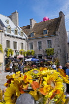 Canada, Quebec Province, Quebec City, Old Quebec City, Vieux Quebec. Place Royale in Basse-Ville, or Lower Town lined with shops and restaurants decorated with pumpkins and autumn foliage for Hallowee...