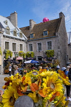Canada, Quebec Province, Quebec City, Old Quebec City, Vieux Quebec. Place Royale in Basse-Ville, or Lower Town lined with shops and restaurants decorated with pumpkins and autumn foliage for Hallowee...