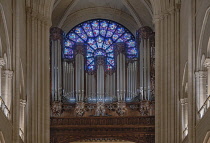 France, Paris, Cathedral de Notre Dame, Stained glass in the West Rose window with the cathedral's organ in the restored cathedral after the fire of 2019, the west rose window is found on the front of...