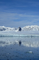 Norway, Svalbard, Lillehookfjorden, Lillehookbreen glacier.