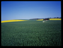 France, Meuse near Samogneux, Farmland with Olil seed rape and wheat.