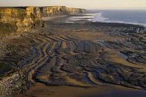Wales, South Wales, Vale of Glamorgan, Southerndown, View south from public path on Trwyn Y Witch headland over rocky foreshore with the tide out.