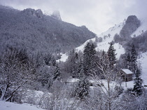 France, Pyrenees Atalanques, Snowy Valle D'Aspe.