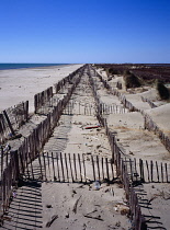 France, Cote D'Azur, Bouches-du-Rhone, Rhone Estuary, Fencing to prevent sand drift erosion.