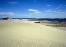 France, Cote D'Azur, Bouches-du-Rhone, Rhone Estuary, Sand spit in marsh area, They de la  Garcieuse.