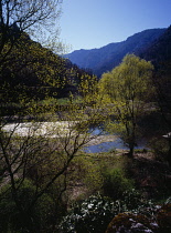 France, Lozare, Tarngorge, Riverside in springtime.