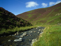 Scotland, Dumfries & Galloway, Mennock Pass, River Mennock Water with slopes covered in heather.