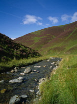 Scotland, Dumfries & Galloway, Mennock Pass, River Mennock Water with slopes covered in heather.