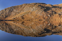 Republic of Ireland, County Donegal, Glenveagh National Park, Winter morning reflections on Lough Beagh.