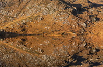 Republic of Ireland, County Donegal, Glenveagh National Park, Winter morning reflections on Lough Beagh.