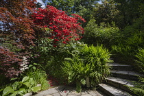 Republic of Ireland, County Donegal,  Glenveagh Castle Gardens in summer.