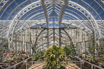 Republic of Ireland, County Dublin, Balbriggan, Ardgillan Castle and Gardens, The Victorian Conservatory originally constructed in 1905 at Seamount Malahide home of the Jameson family renowned globall...