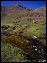 France, Alpes-de-Haute Provence, South of Taugiers, Spring water runing from beneath sommit de Caire Brun.